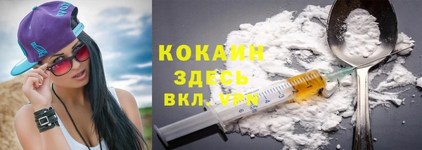 шишки Нягань