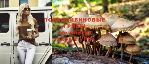 сатива Абдулино
